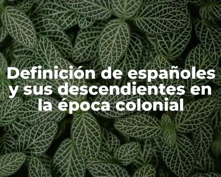 Definición de españoles y sus descendientes en la época colonial