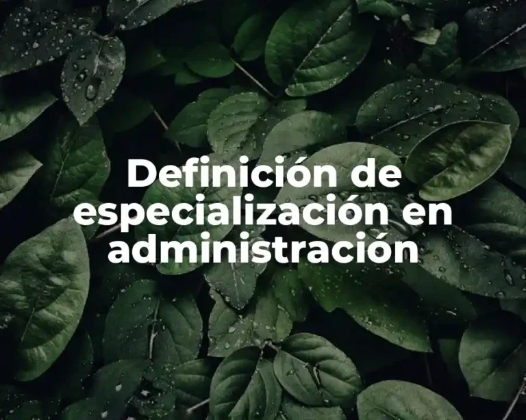Definición de especialización en administración