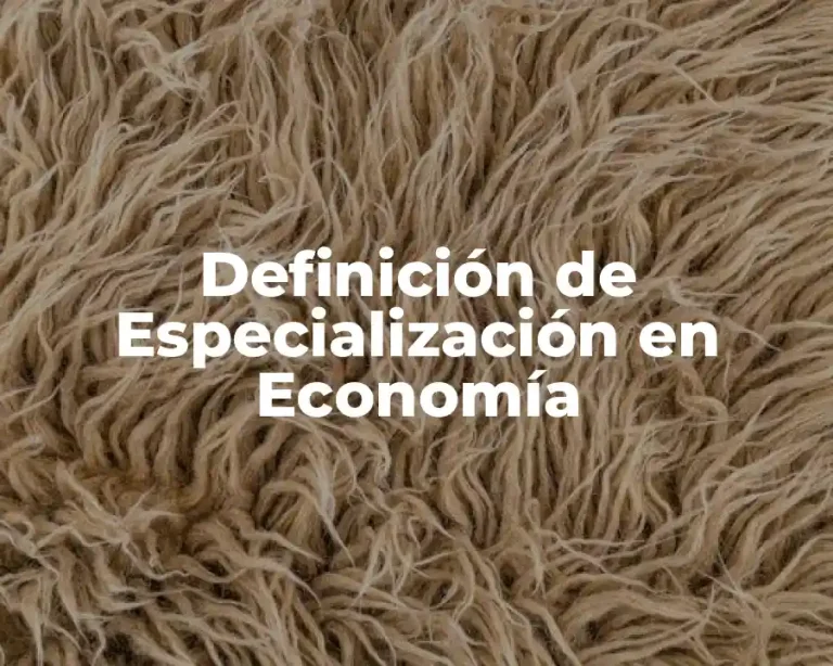 Definición de Especialización en Economía