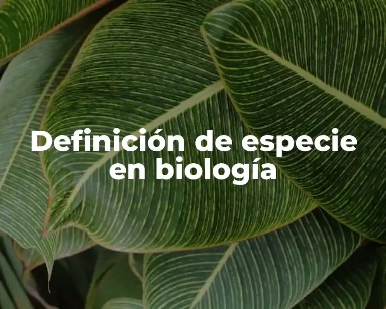 Definición de especie en biología
