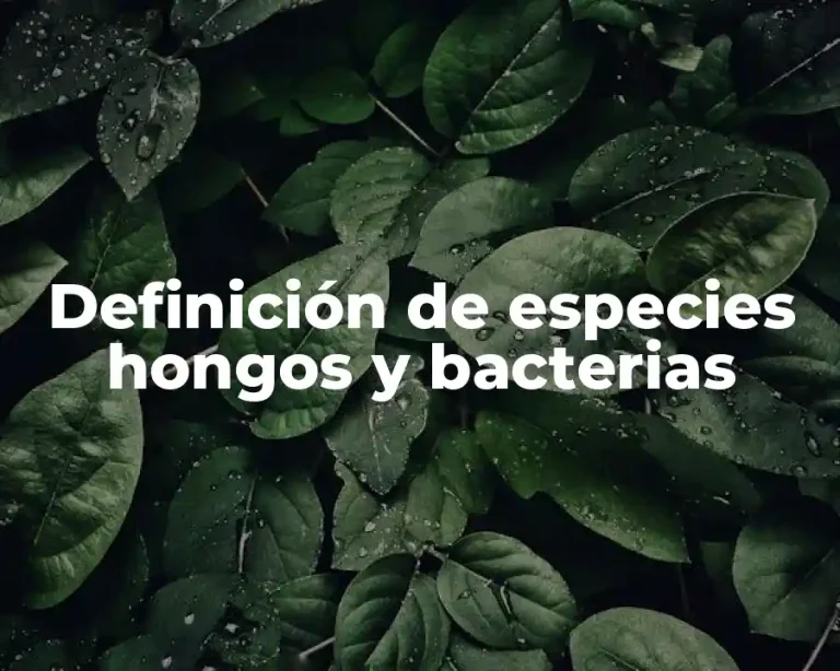 Definición de especies hongos y bacterias