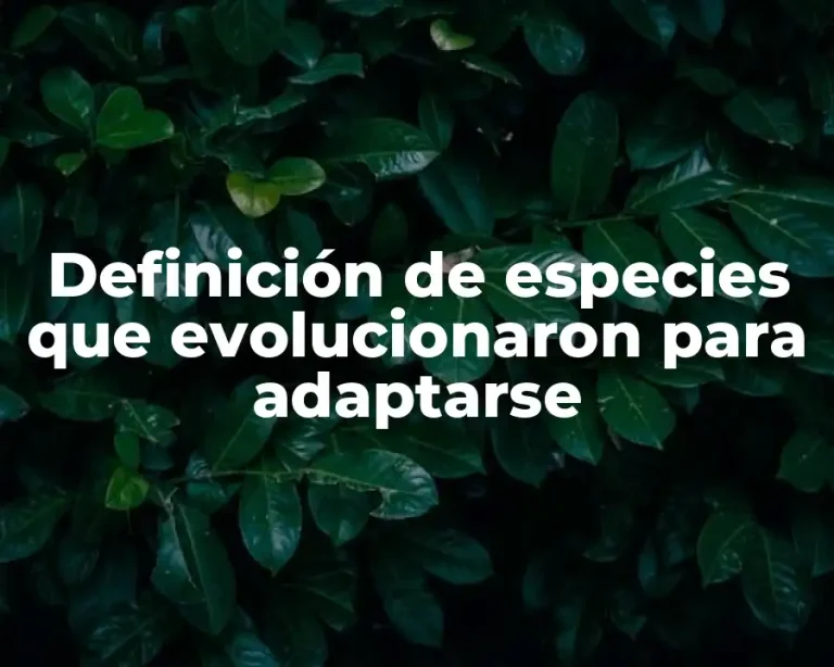 Definición de especies que evolucionaron para adaptarse