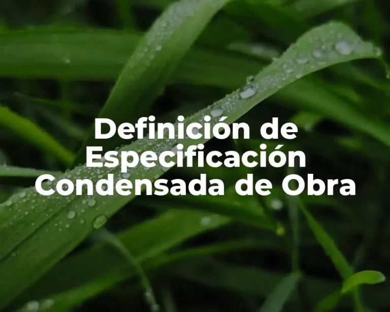 Definición de Especificación Condensada de Obra