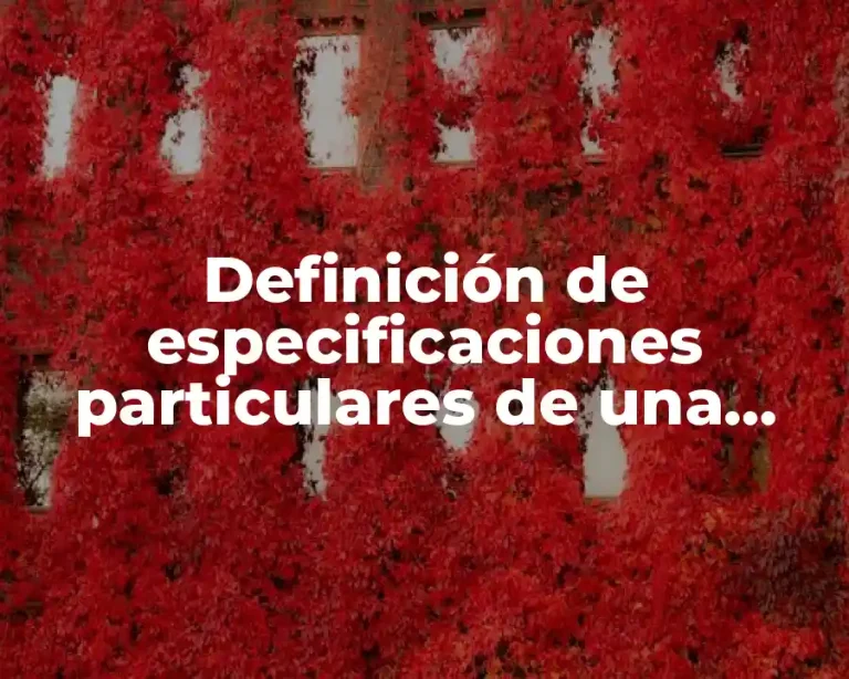 Definición de especificaciones particulares de una obra