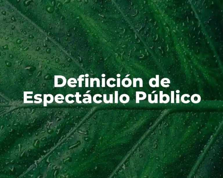 Definición de Espectáculo Público