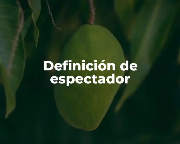 Definición de espectador