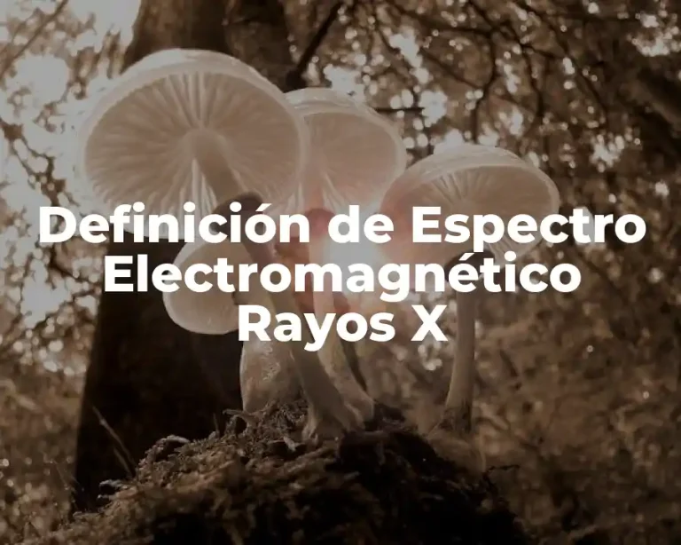 Definición de Espectro Electromagnético Rayos X