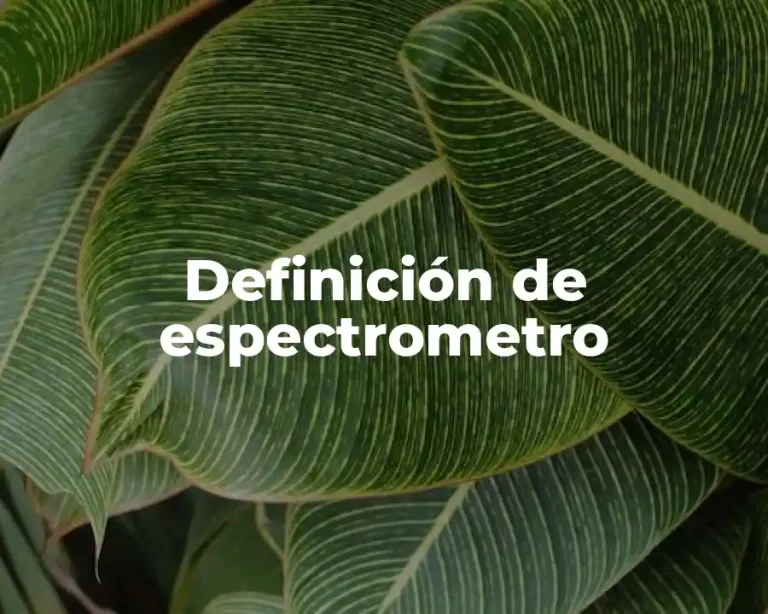 Definición de espectrometro