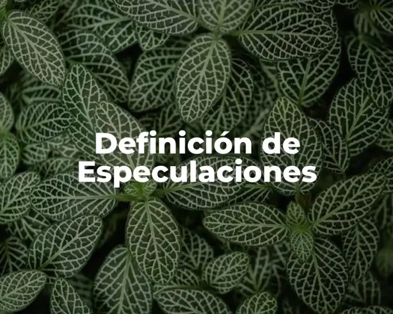 Definición de Especulaciones