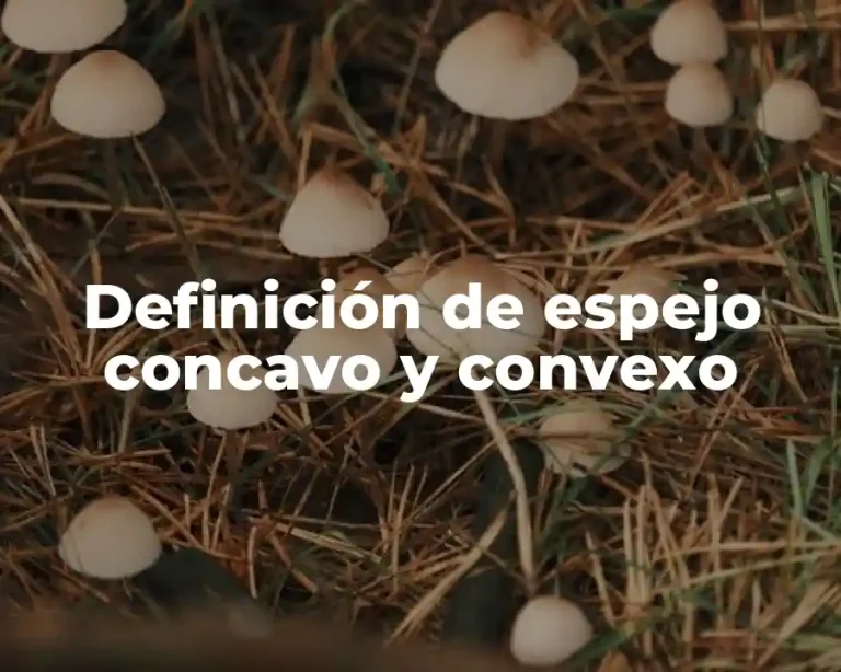 Definición de espejo concavo y convexo