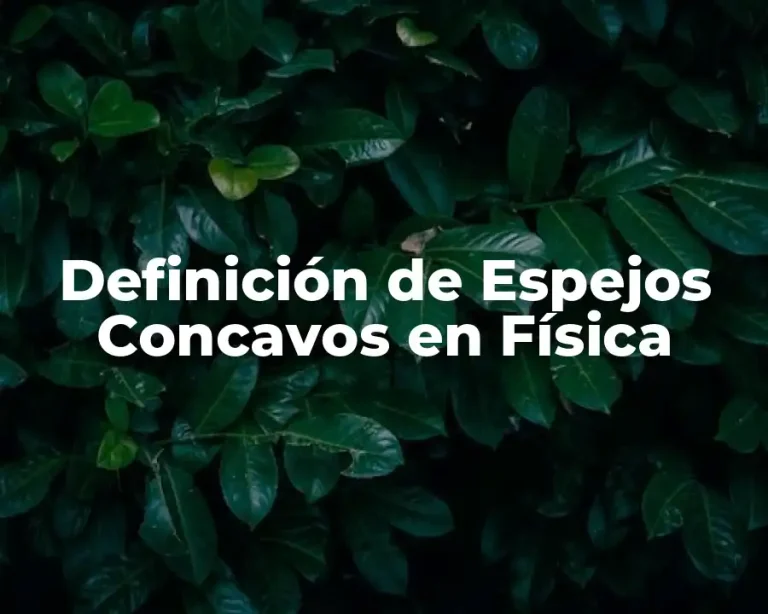 Definición de Espejos Concavos en Física