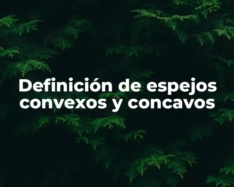 Definición de espejos convexos y concavos