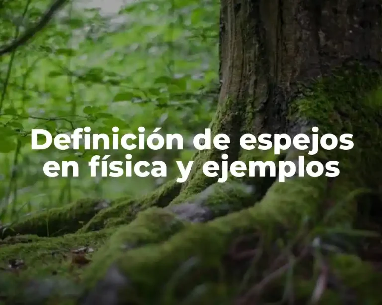 Definición de espejos en física y ejemplos