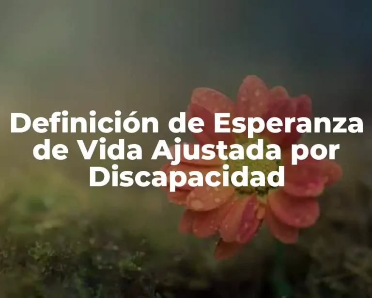 Definición de Esperanza de Vida Ajustada por Discapacidad