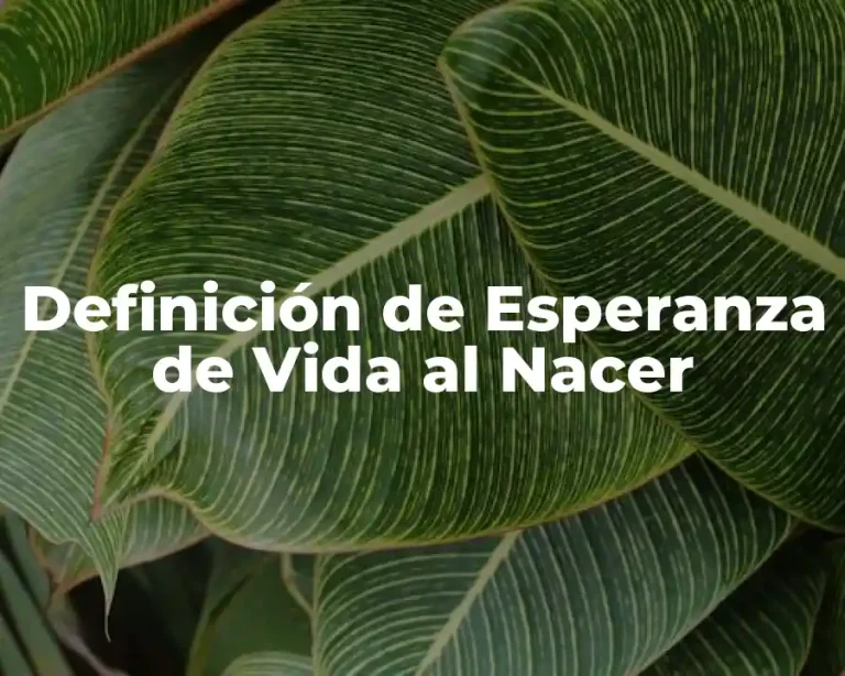 Definición de Esperanza de Vida al Nacer
