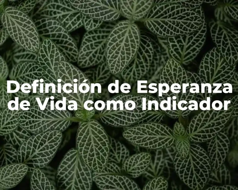 Definición de Esperanza de Vida como Indicador