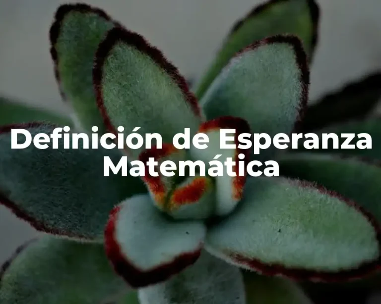 Definición de Esperanza Matemática