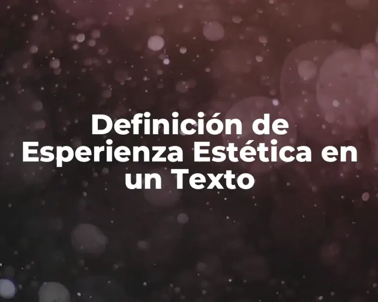 Definición de Esperienza Estética en un Texto