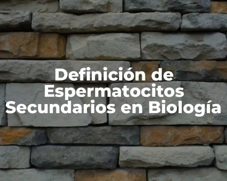 Definición de Espermatocitos Secundarios en Biología