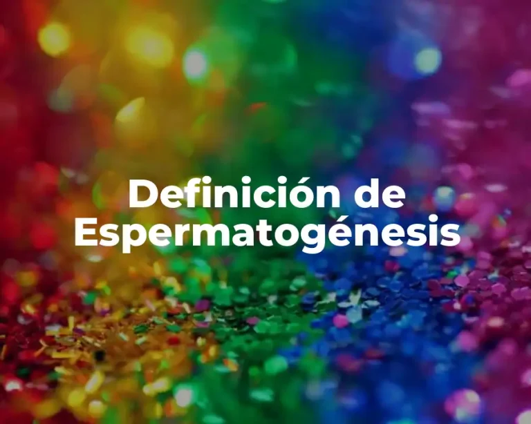 Definición de Espermatogénesis