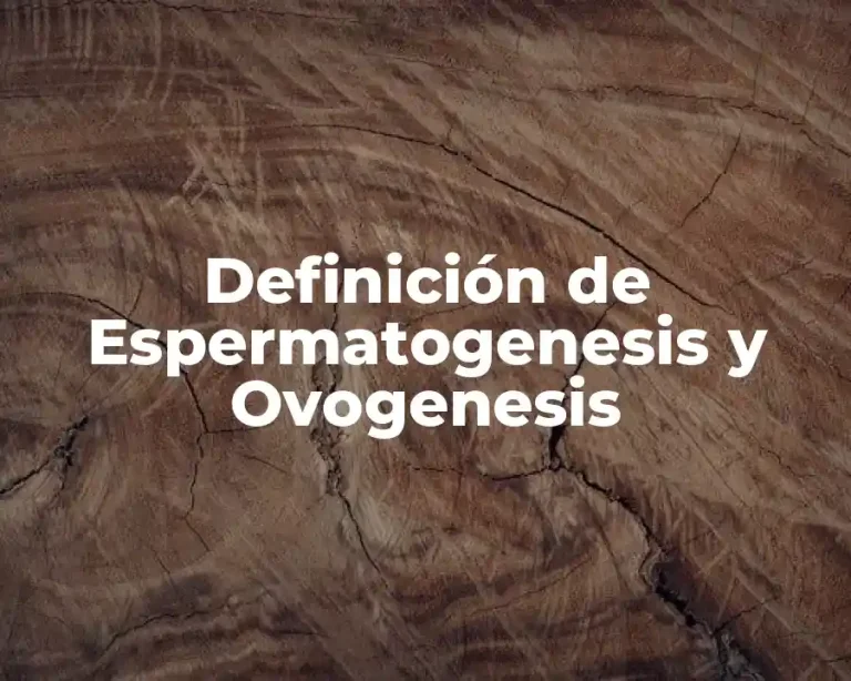 Definición de Espermatogenesis y Ovogenesis