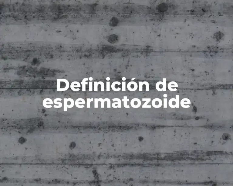 Definición de espermatozoide