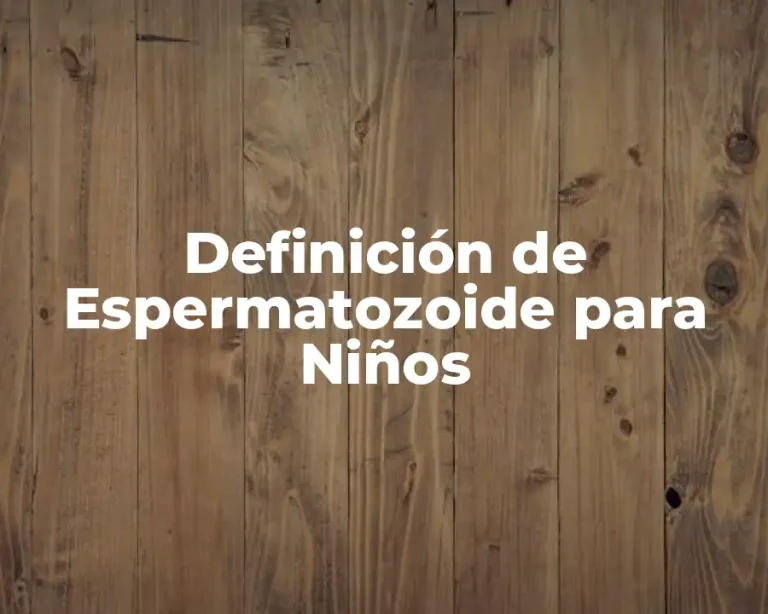 Definición de Espermatozoide para Niños