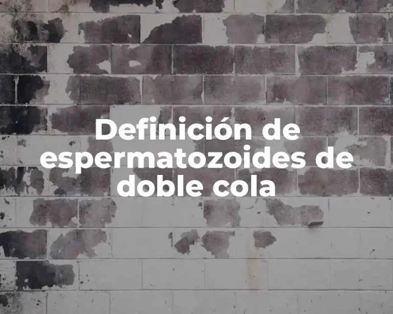 Definición de espermatozoides de doble cola