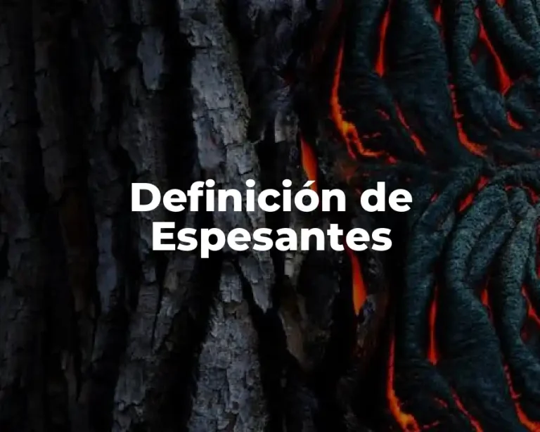 Definición de Espesantes