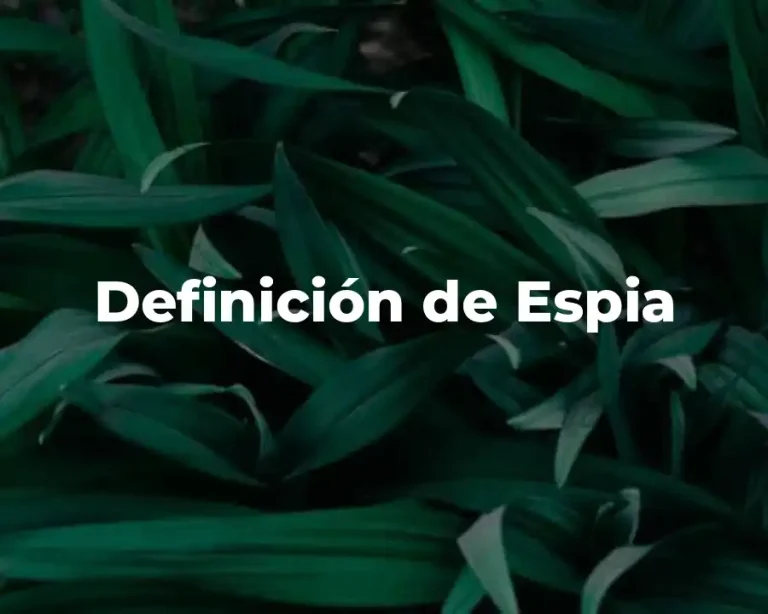 Definición de Espia