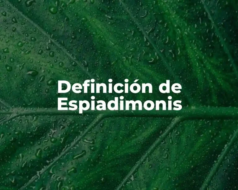 Definición de Espiadimonis