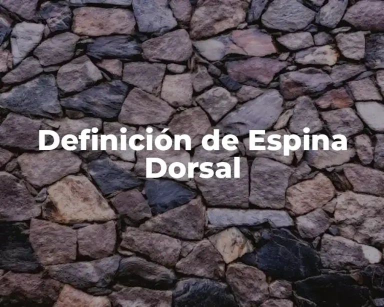 Definición de Espina Dorsal