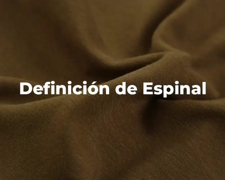 Definición de Espinal