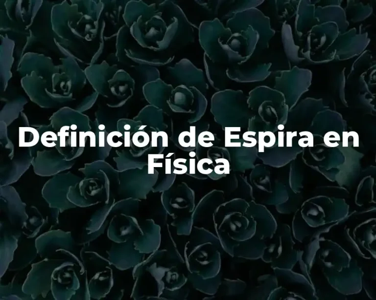 Definición de Espira en Física