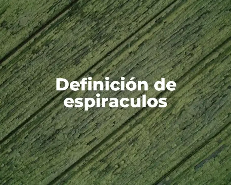 Definición de espiraculos