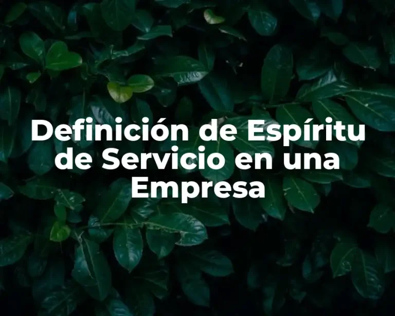 Definición de Espíritu de Servicio en una Empresa