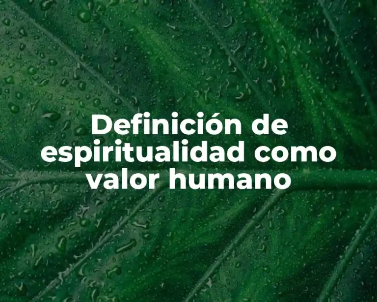 Definición de espiritualidad como valor humano