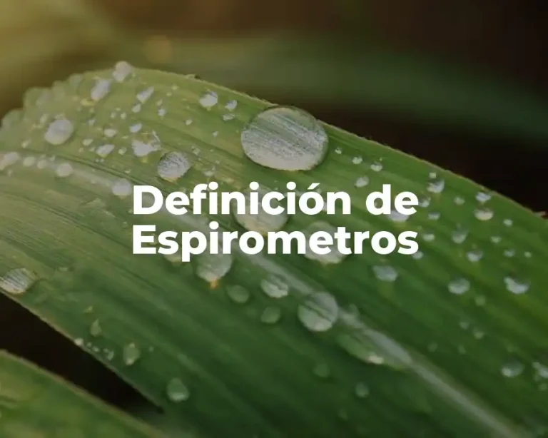 Definición de Espirometros