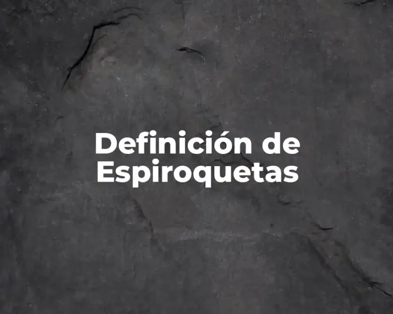 Definición de Espiroquetas