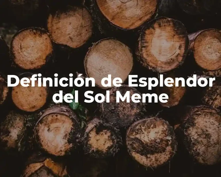 Definición de Esplendor del Sol Meme