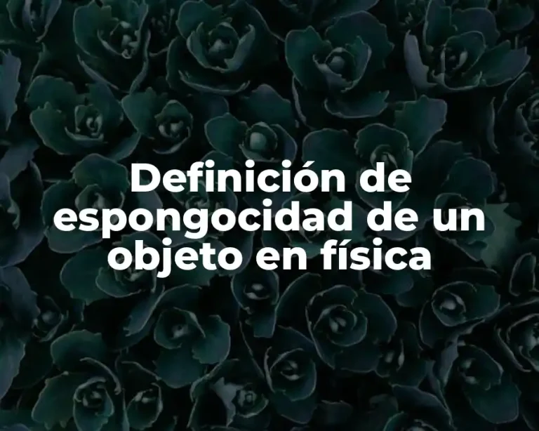 Definición de espongocidad de un objeto en física