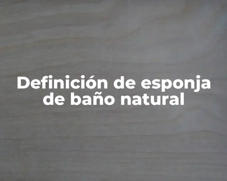 Definición de esponja de baño natural