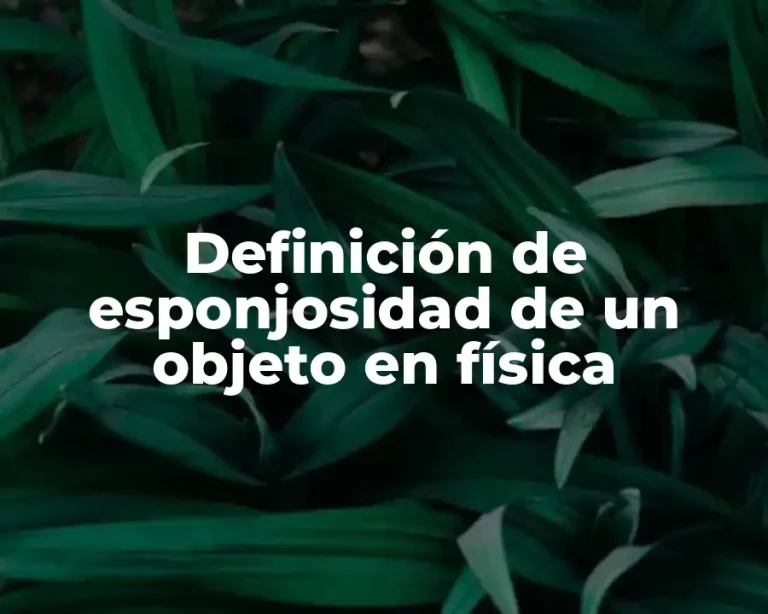 Definición de esponjosidad de un objeto en física