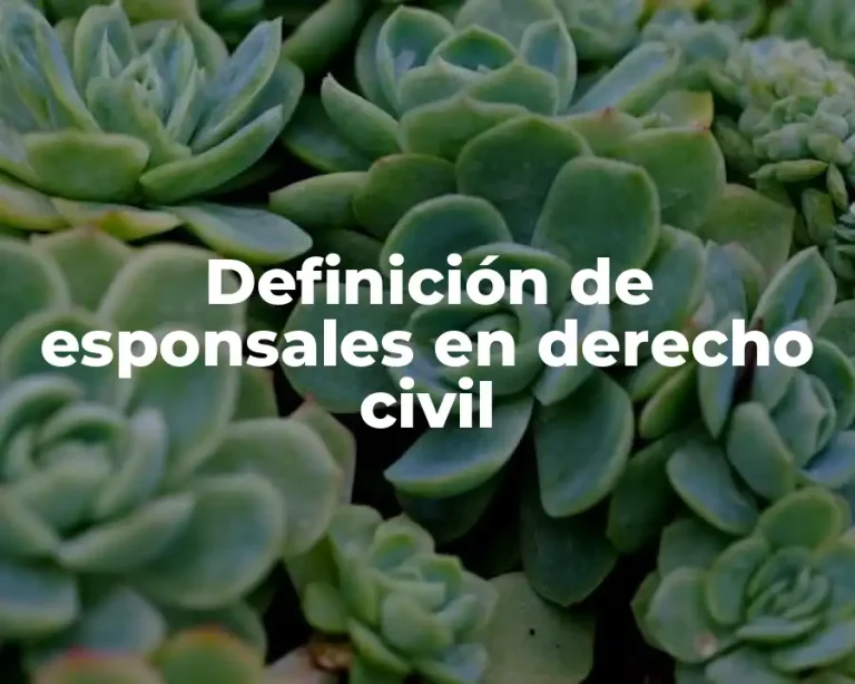 Definición de esponsales en derecho civil