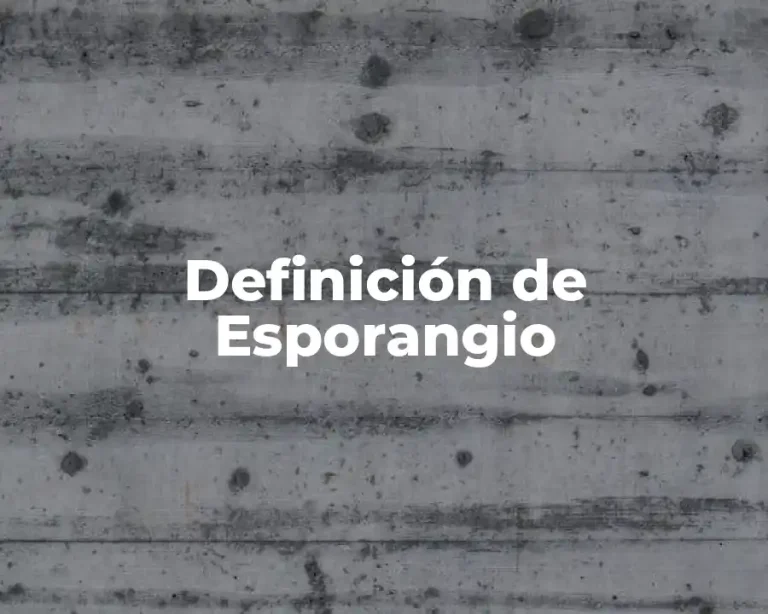 Definición de Esporangio