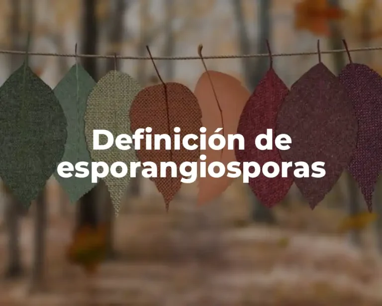 Definición de esporangiosporas