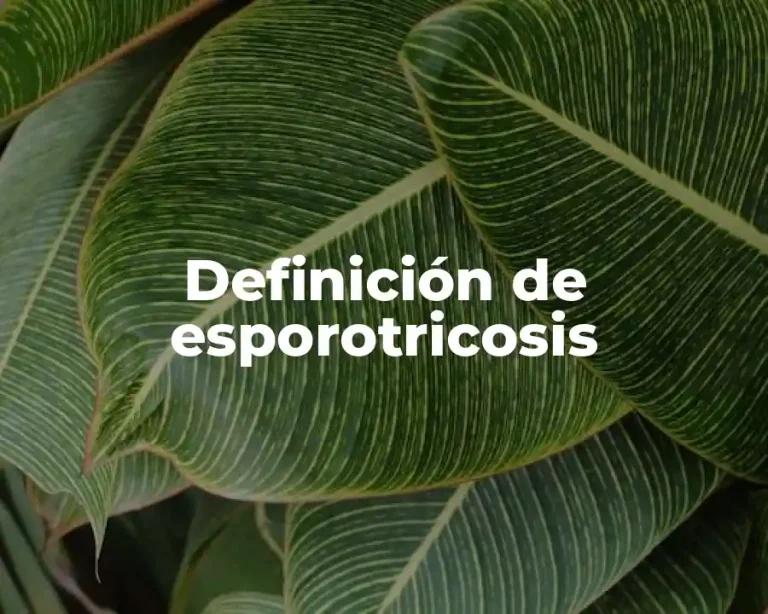 Definición de esporotricosis