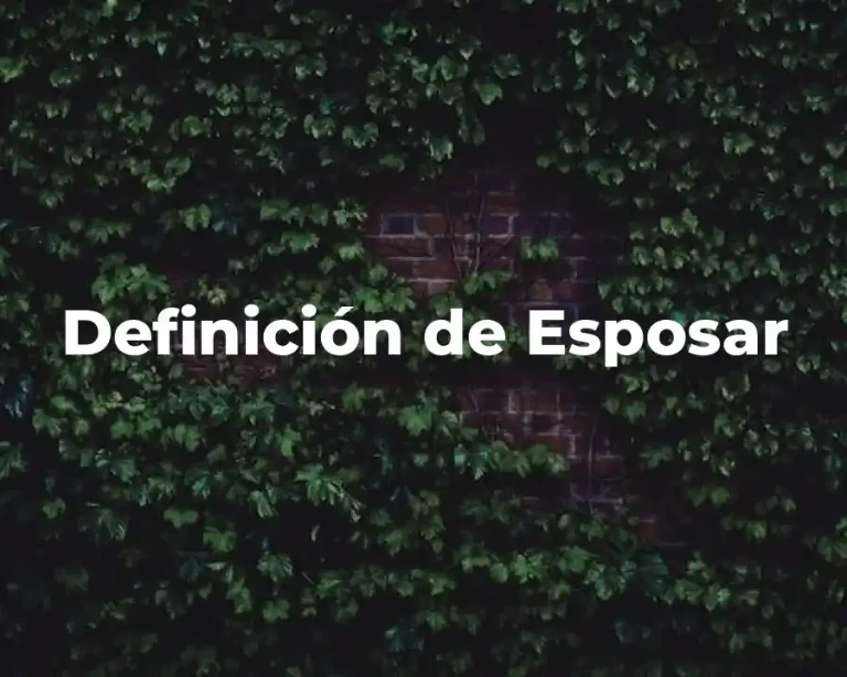 Definición de Esposar