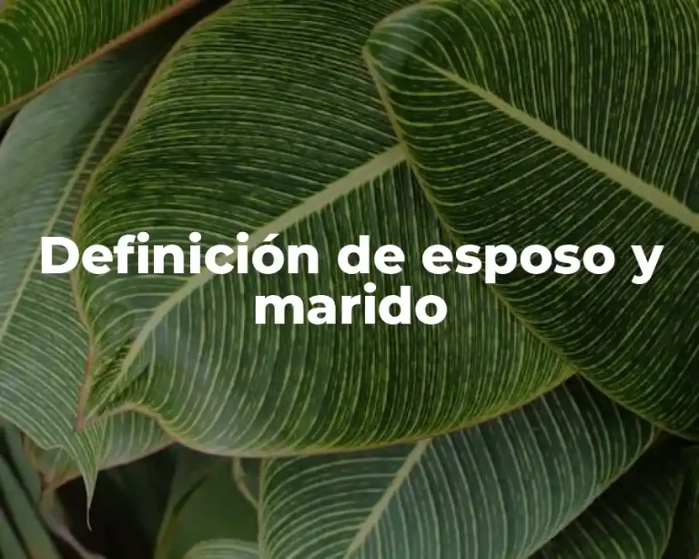 Definición de esposo y marido