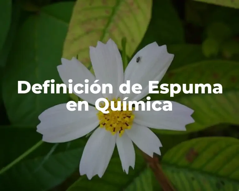 Definición de Espuma en Química